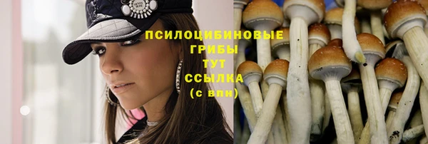 соль курить ск Волоколамск