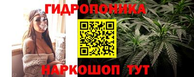 прущие грибы Ливны