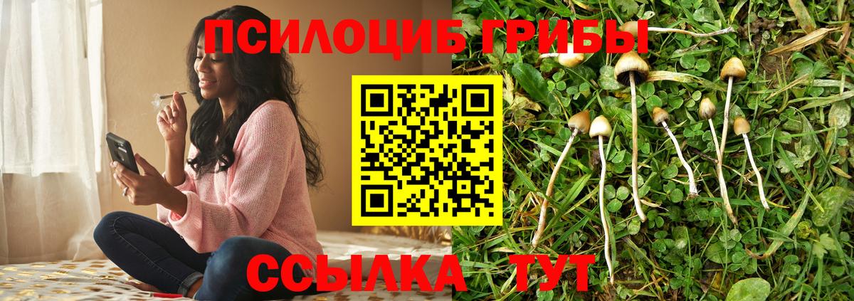 Псилоцибиновые грибы GOLDEN TEACHER  Вход с VPN  Железногорск 