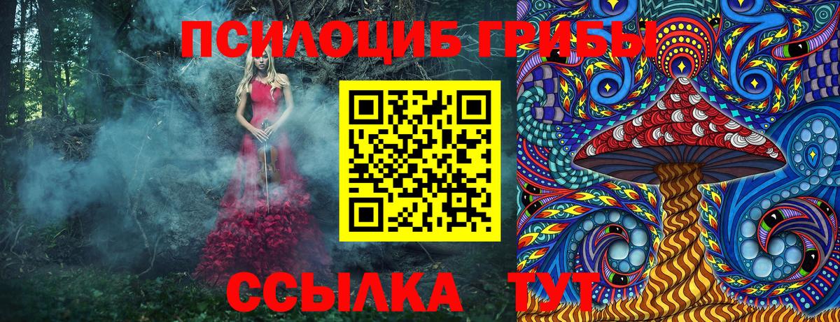 Галлюциногенные грибы Cubensis Железногорск